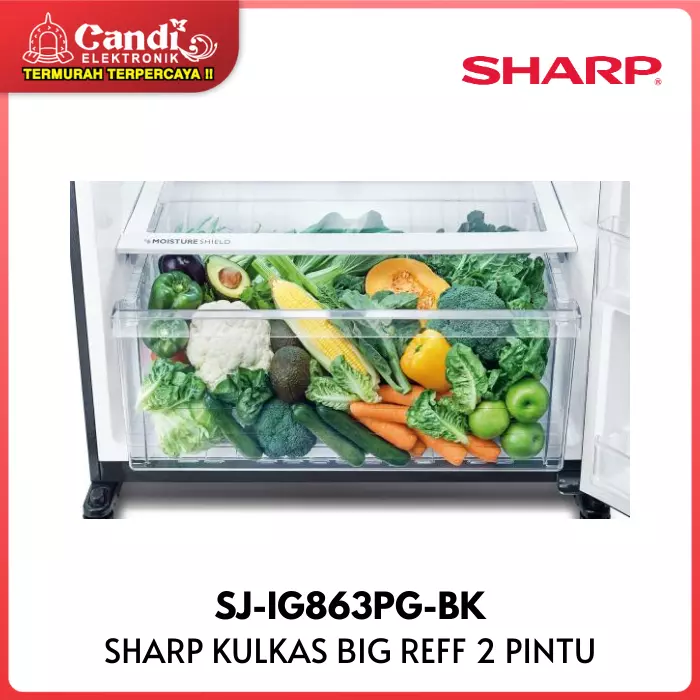 KULKAS BIG REFF 2 PINTU SHARP